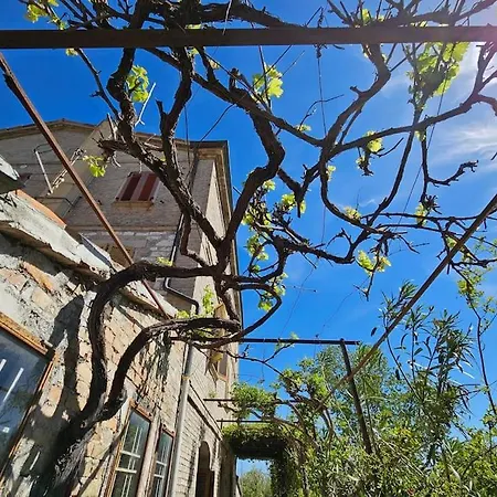 Casa Alfa Prázdninový dům Sterpeti